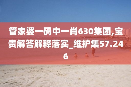 管家婆一碼中一肖630集團,寶貴解答解釋落實_維護集57.246