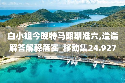 白小姐今晚特馬期期準六,造詣解答解釋落實_移動集24.927