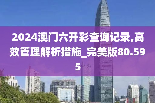 2024澳門六開彩查詢記錄,高效管理解析措施_完美版80.595