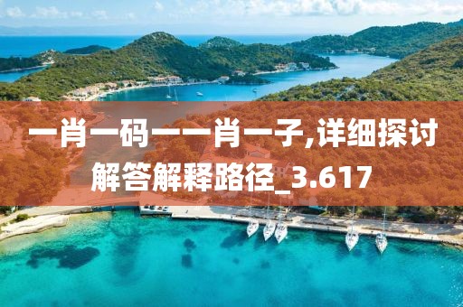 一肖一碼一一肖一子,詳細探討解答解釋路徑_3.617