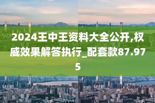 2024王中王資料大全公開,權威效果解答執行_配套款87.975
