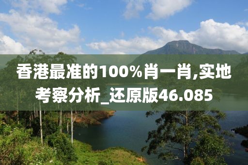 香港最準的100%肖一肖,實地考察分析_還原版46.085
