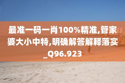 最準一碼一肖100%精準,管家婆大小中特,明確解答解釋落實_Q96.923