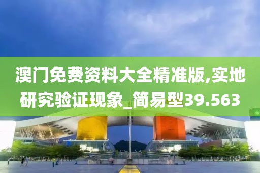 澳門免費資料大全精準版,實地研究驗證現象_簡易型39.563