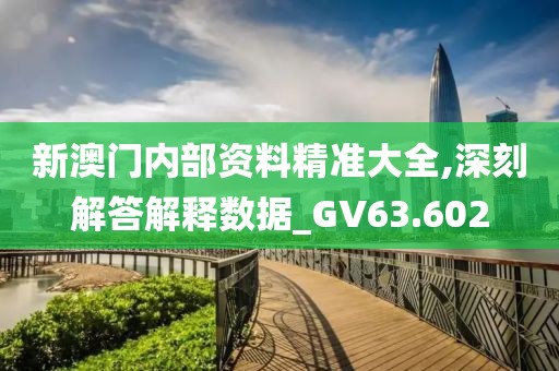 新澳門內部資料精準大全,深刻解答解釋數據_GV63.602