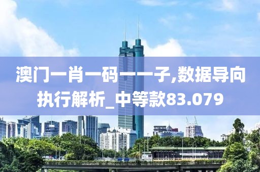 澳門一肖一碼一一子,數據導向執行解析_中等款83.079
