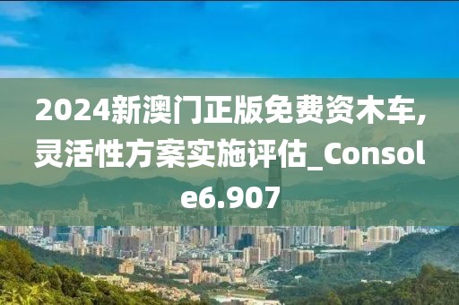 2024新澳門正版免費資木車,靈活性方案實施評估_Console6.907