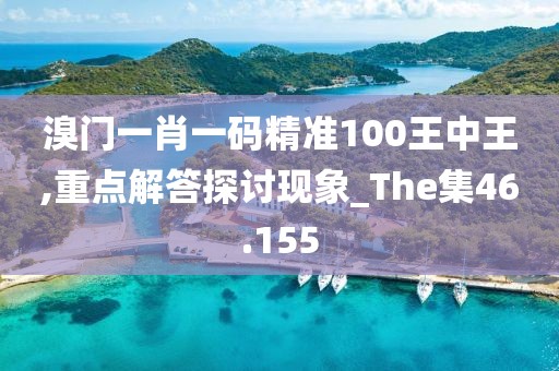 溴門一肖一碼精準100王中王,重點解答探討現象_The集46.155
