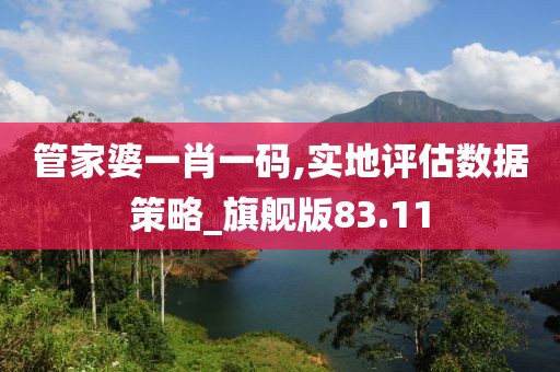 管家婆一肖一碼,實地評估數據策略_旗艦版83.11