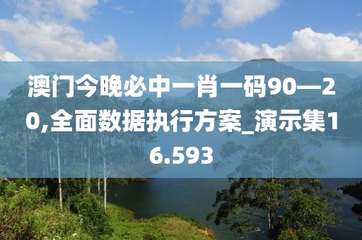 澳門今晚必中一肖一碼90—20,全面數據執行方案_演示集16.593
