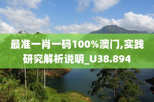 最準一肖一碼100%澳門,實踐研究解析說明_U38.894