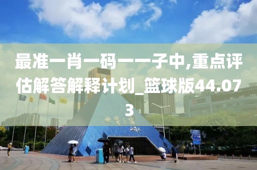 最準一肖一碼一一子中,重點評估解答解釋計劃_籃球版44.073