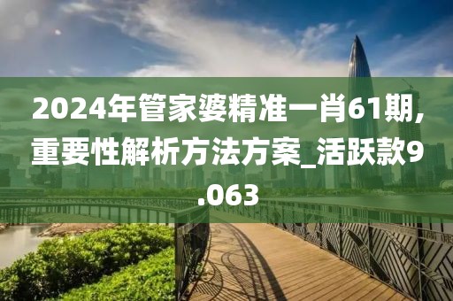 2024年管家婆精準一肖61期,重要性解析方法方案_活躍款9.063