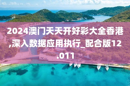 2024澳門天天開好彩大全香港,深入數據應用執行_配合版12.011