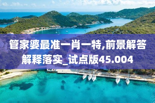 管家婆最準一肖一特,前景解答解釋落實_試點版45.004