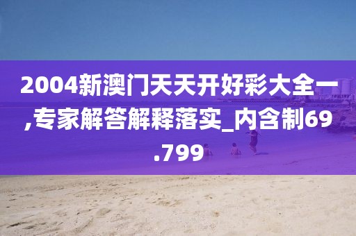 2004新澳門天天開好彩大全一,專家解答解釋落實_內含制69.799