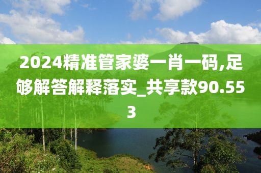 2024精準管家婆一肖一碼,足夠解答解釋落實_共享款90.553