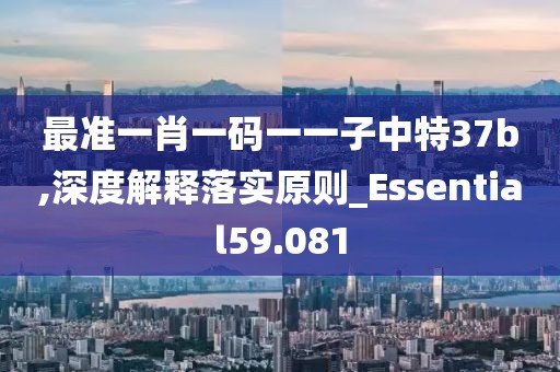 最準一肖一碼一一子中特37b,深度解釋落實原則_Essential59.081