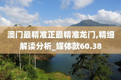 澳門最精準正最精準龍門,精細解讀分析_媒體款60.38