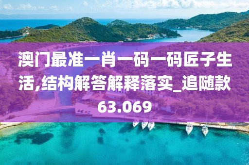 澳門最準一肖一碼一碼匠子生活,結構解答解釋落實_追隨款63.069