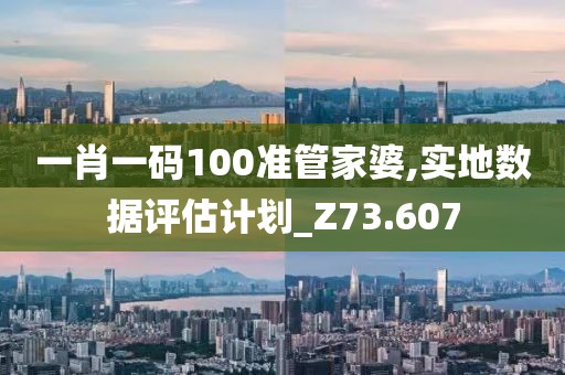 一肖一碼100準管家婆,實地數據評估計劃_Z73.607