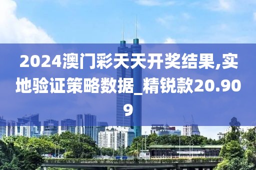2024澳門彩天天開獎結果,實地驗證策略數據_精銳款20.909