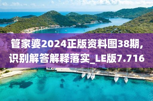 管家婆2024正版資料圖38期,識別解答解釋落實_LE版7.716