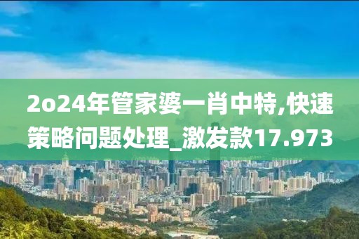 2o24年管家婆一肖中特,快速策略問題處理_激發款17.973