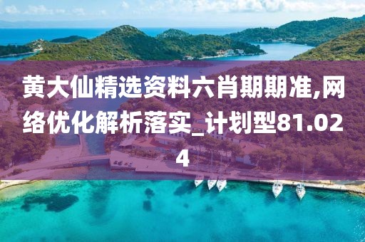 黃大仙精選資料六肖期期準,網絡優化解析落實_計劃型81.024