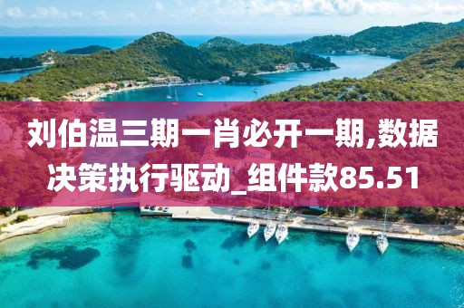劉伯溫三期一肖必開一期,數據決策執行驅動_組件款85.51