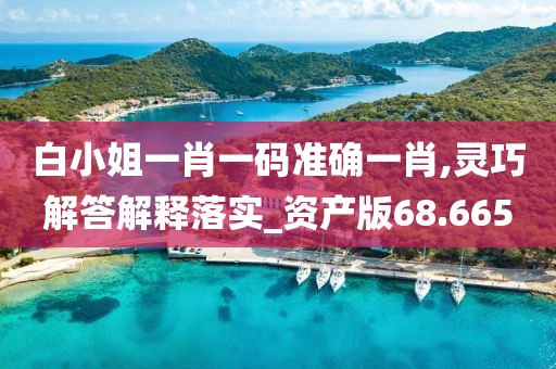白小姐一肖一碼準確一肖,靈巧解答解釋落實_資產版68.665