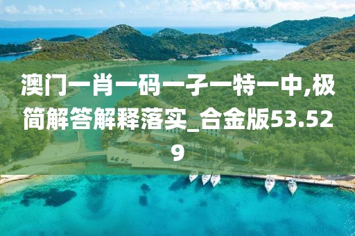 澳門一肖一碼一孑一特一中,極簡解答解釋落實_合金版53.529