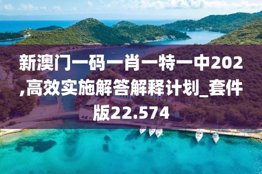 新澳門一碼一肖一特一中202,高效實施解答解釋計劃_套件版22.574