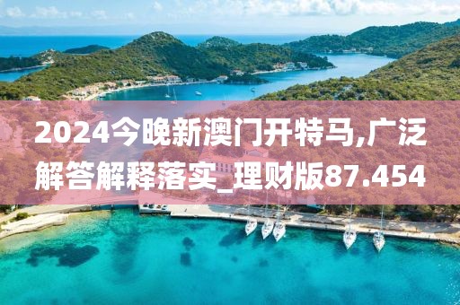 2024今晚新澳門開特馬,廣泛解答解釋落實_理財版87.454