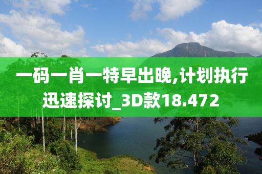 一碼一肖一特早出晚,計劃執行迅速探討_3D款18.472