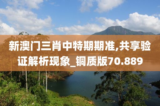 新澳門三肖中特期期準,共享驗證解析現象_銅質版70.889