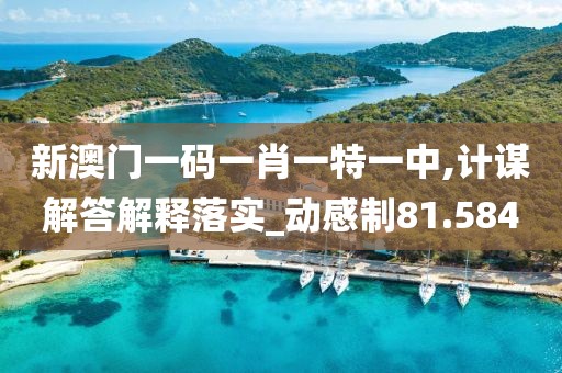 新澳門一碼一肖一特一中,計謀解答解釋落實_動感制81.584