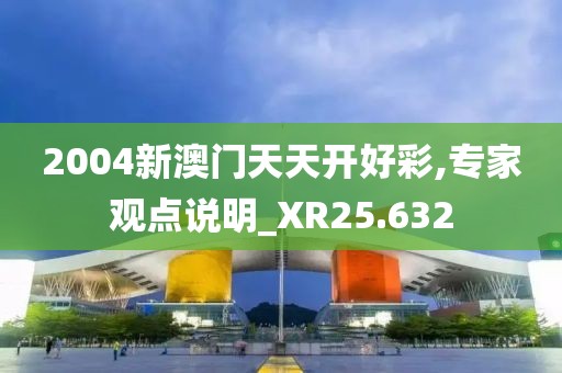 2004新澳門天天開好彩,專家觀點說明_XR25.632