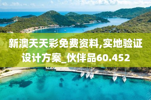 新澳天天彩免費資料,實地驗證設計方案_伙伴品60.452