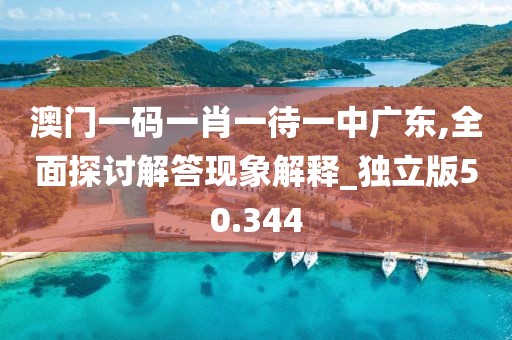 澳門一碼一肖一待一中廣東,全面探討解答現象解釋_獨立版50.344