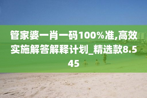 管家婆一肖一碼100%準,高效實施解答解釋計劃_精選款8.545