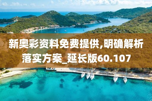 新奧彩資料免費提供,明確解析落實方案_延長版60.107