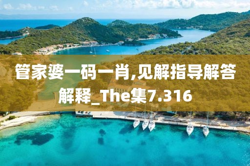 管家婆一碼一肖,見解指導解答解釋_The集7.316