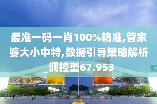 最準一碼一肖100%精準,管家婆大小中特,數據引導策略解析_調控型67.953