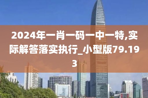2024年一肖一碼一中一特,實際解答落實執行_小型版79.193