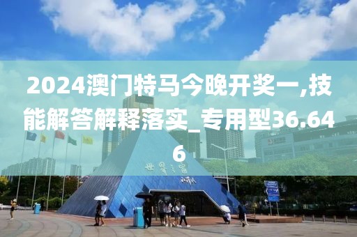 2024澳門特馬今晚開獎一,技能解答解釋落實_專用型36.646
