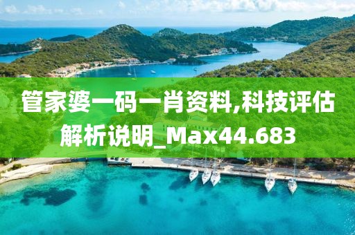 管家婆一碼一肖資料,科技評估解析說明_Max44.683