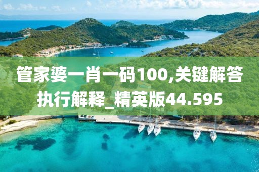 管家婆一肖一碼100,關鍵解答執行解釋_精英版44.595