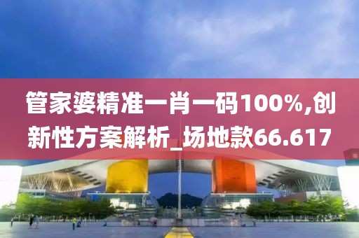 管家婆精準一肖一碼100%,創新性方案解析_場地款66.617