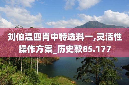 劉伯溫四肖中特選料一,靈活性操作方案_歷史款85.177